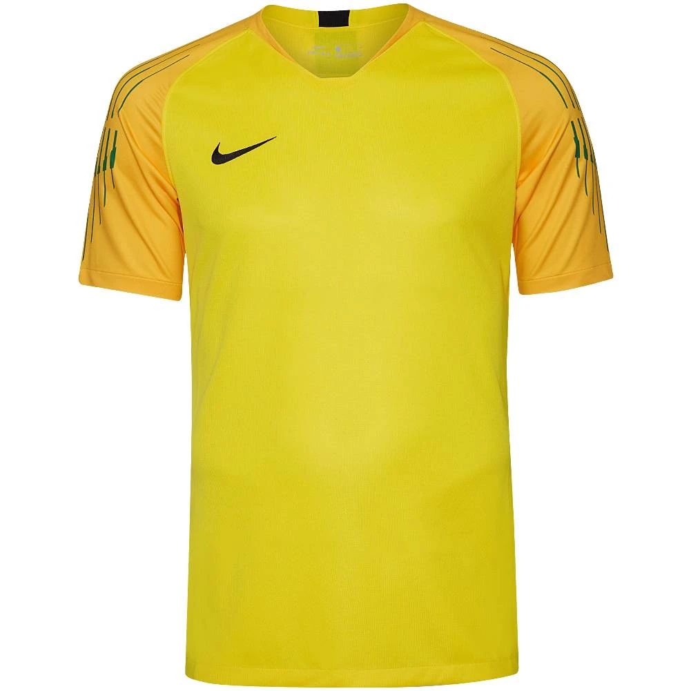 Nike Gardien II Hommes Maillot De Gardien De But 894512-719