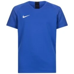 Nike Dry Strike Enfants Maillot AJ1027-463