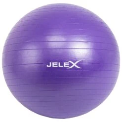 JELEX Ballon De Yoga Et Fitness Avec Pompe 65cm Violet